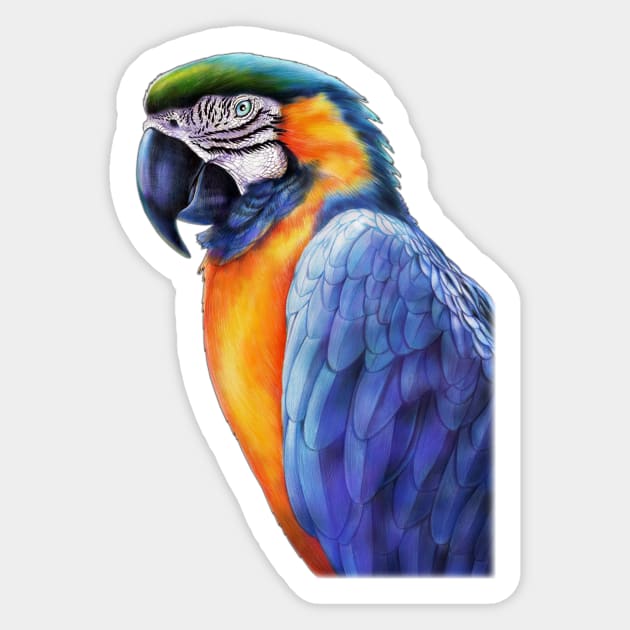 Macaw Sticker by Tim Jeffs Art